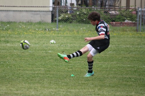 Brighton game