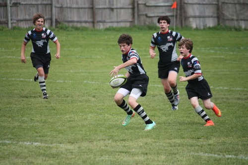 Brighton game
