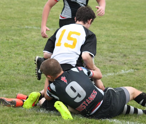 Brighton game