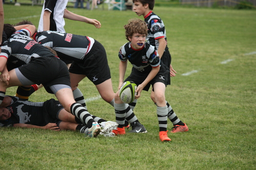 Brighton game