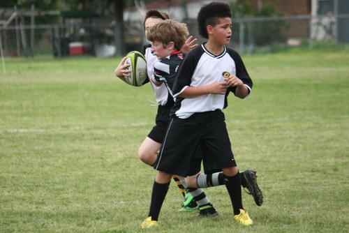 Brighton game
