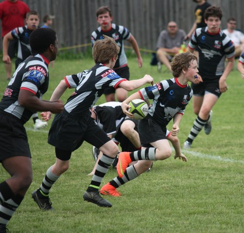 Brighton game