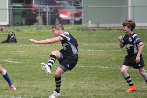Brighton game