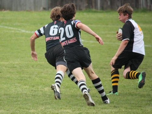 Brighton game