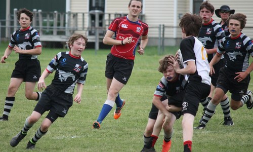 Brighton game