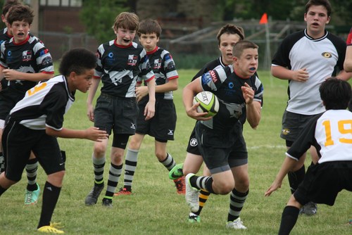 Brighton game