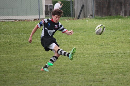 Brighton game