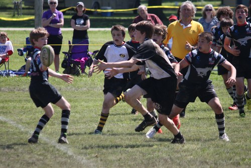West TN Championship